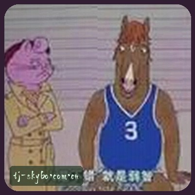 赵总